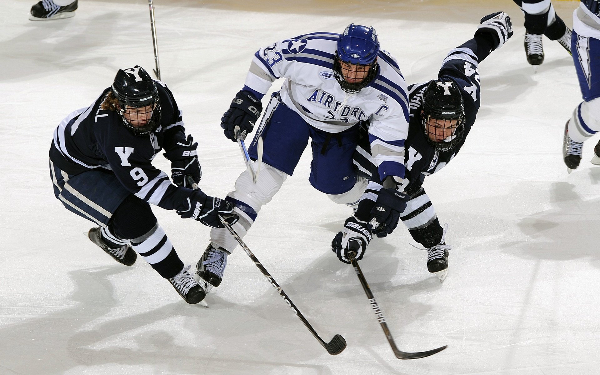 排球联赛竞争进入关键阶段